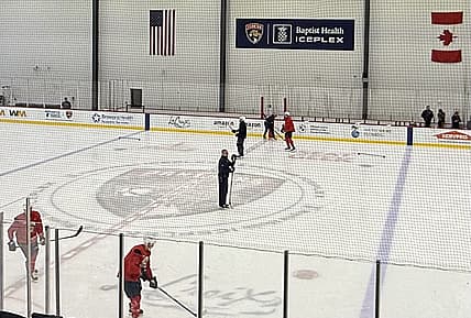 Florida panthers