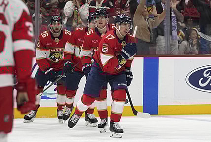 Florida panthers