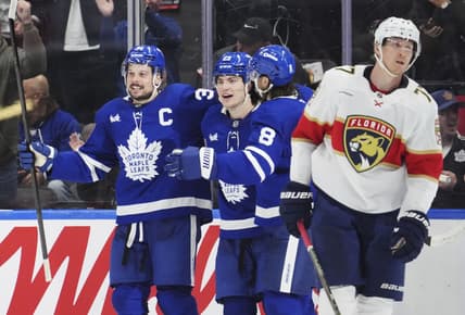 Florida panthers
