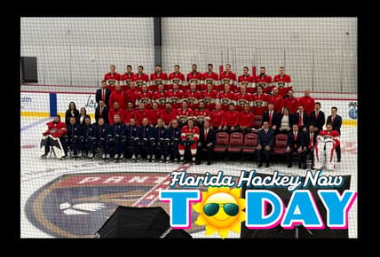 Florida panthers