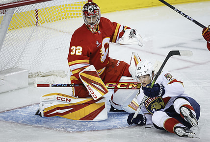 Florida panthers