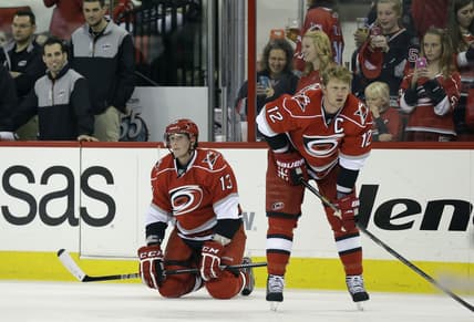 Florida panthers staal