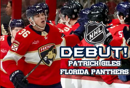 Panthers sabres