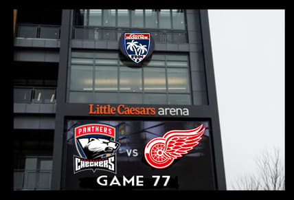 Panthers wings