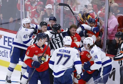 Florida panthers