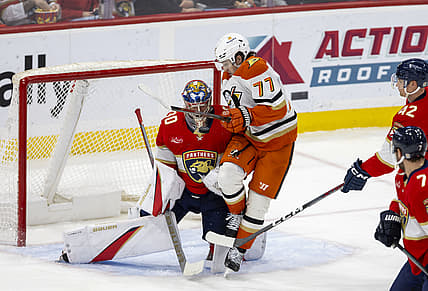 Florida panthers