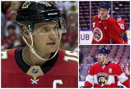 Florida panthers top line