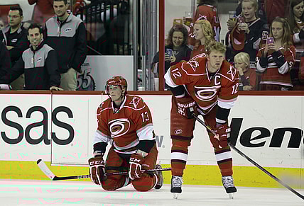 Florida panthers staal