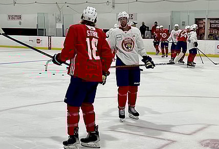 Florida panthers staal