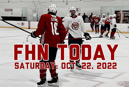 Florida panthers