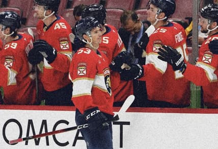 Florida panthers