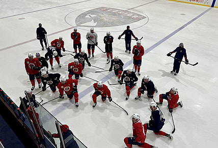 Florida panthers covid