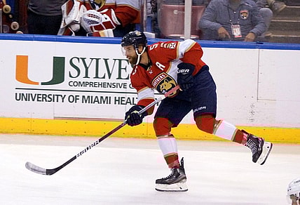Florida panthers