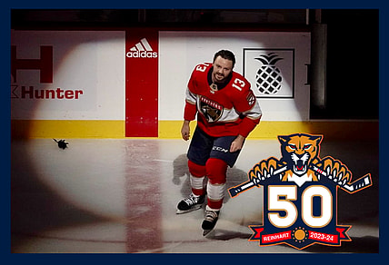 Reinhart 50