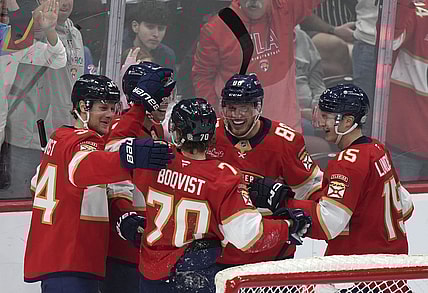 Florida panthers