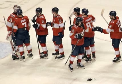 Florida panthers end 2021