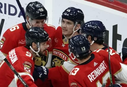 Florida panthers