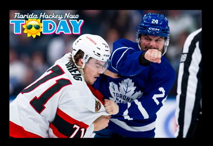 Maple leafs