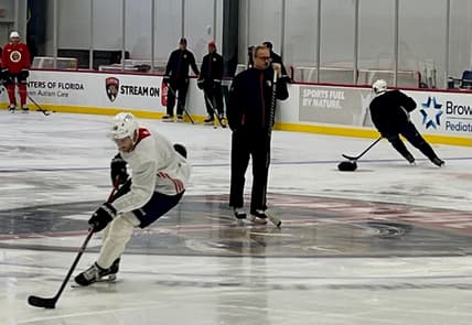 Florida panthers