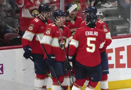 Florida panthers