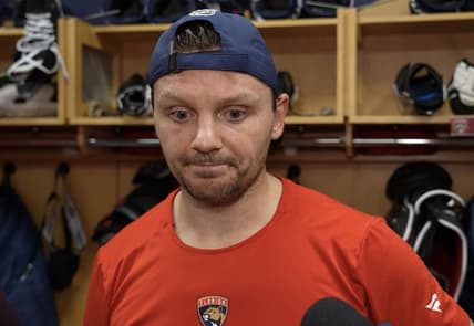 Florida panthers