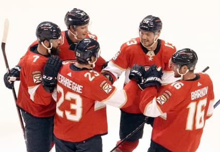 Florida panthers