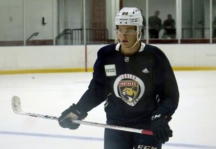 Florida panthers