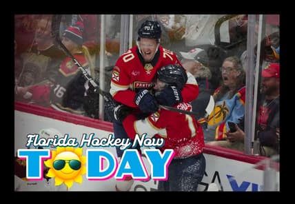 Florida panthers