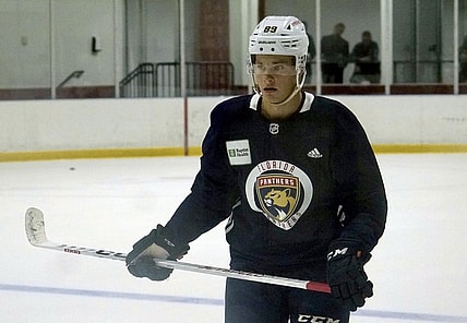 Florida panthers