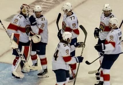 Bobrovsky