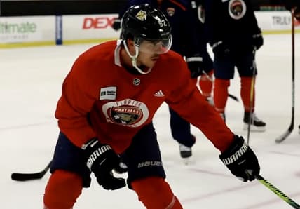 Florida panthers mackenzie weegar