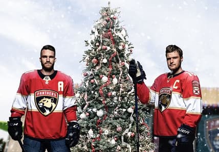Florida panthers
