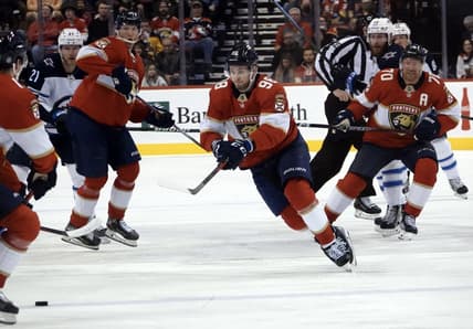 Florida panthers