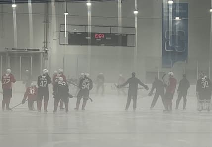 Florida panthers