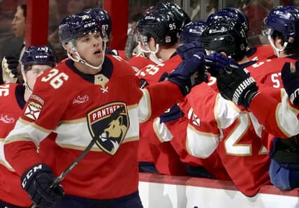 Florida panthers