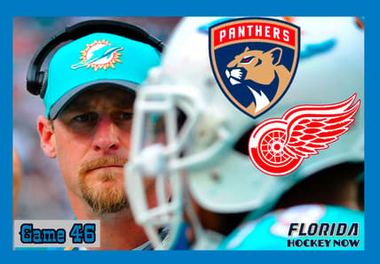 Panthers wings