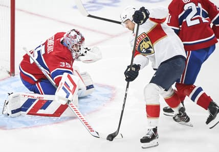 Florida panthers