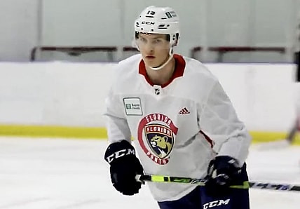 Lundell anton panthers florida