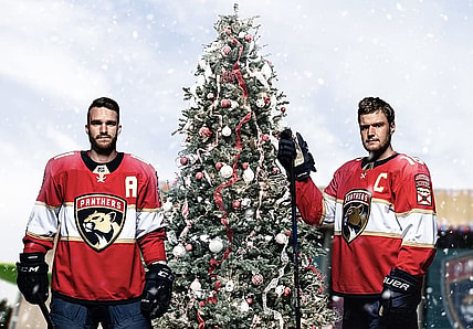 Florida panthers