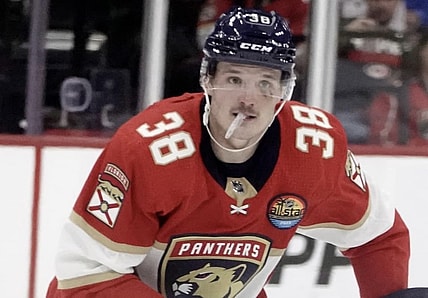 Florida panthers