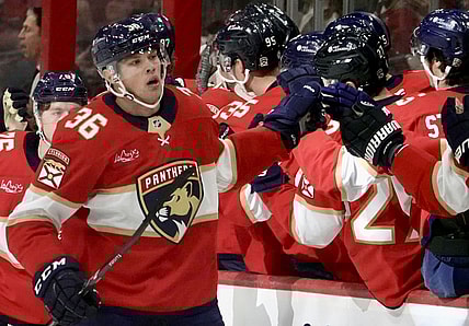 Florida panthers