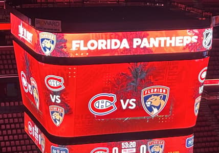 Florida panthers
