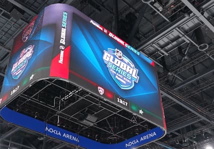 Florida panthers