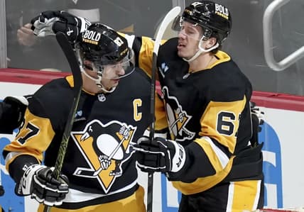 Penguins panthers