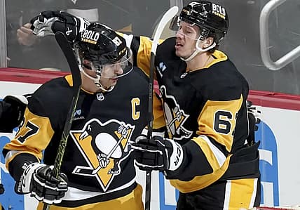 Penguins panthers