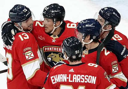 Florida panthers