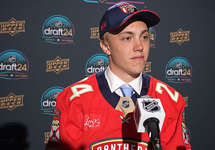 Florida panthers