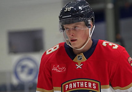 Florida panthers