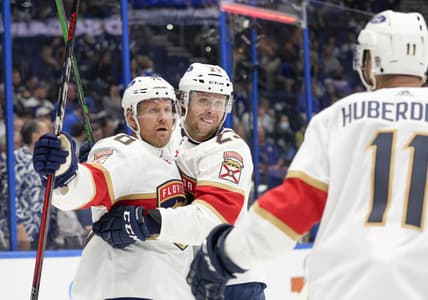 Florida panthers