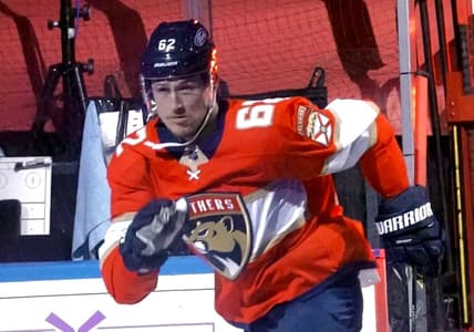 Panthers Florida Montour Brandon